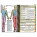 PApocket® Physician Assistant University of Evansville
